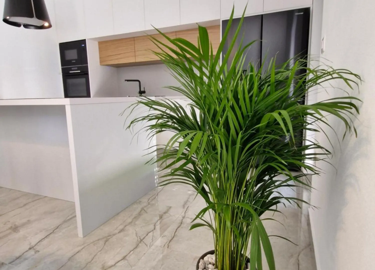 More - Luxury Apartment With Private Pool